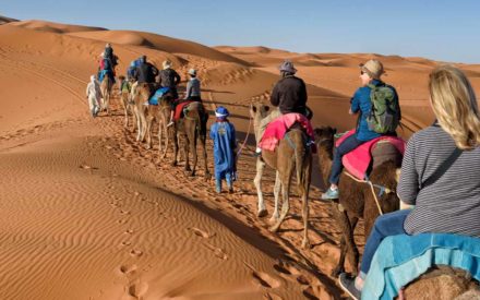 Morocco-Sahara-camel-ride