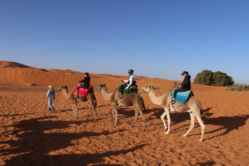 Morocco-Sahara-camel-ride