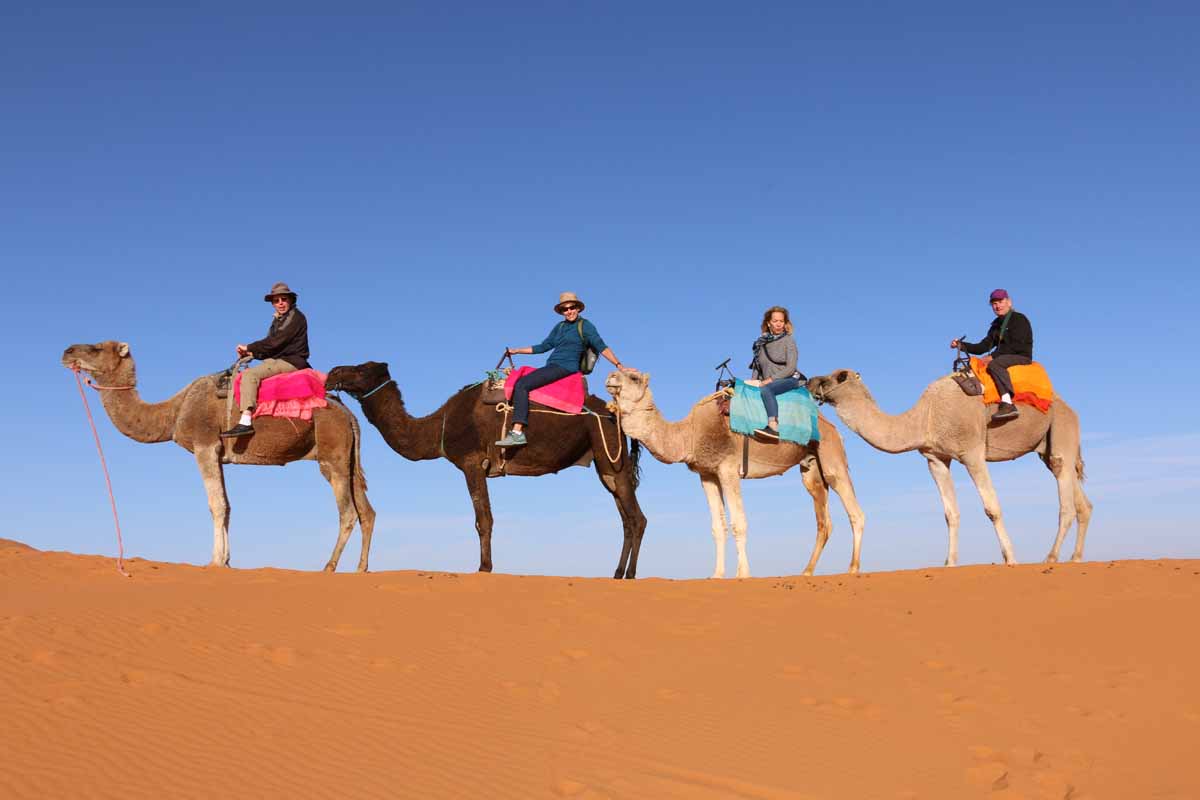 morocco camel tour