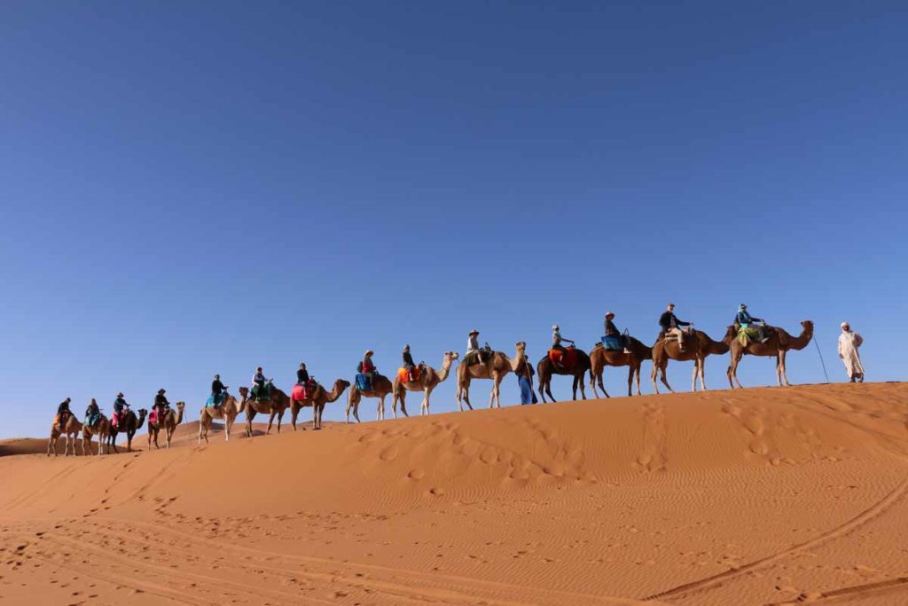 Morocco-Sahara-camel-ride