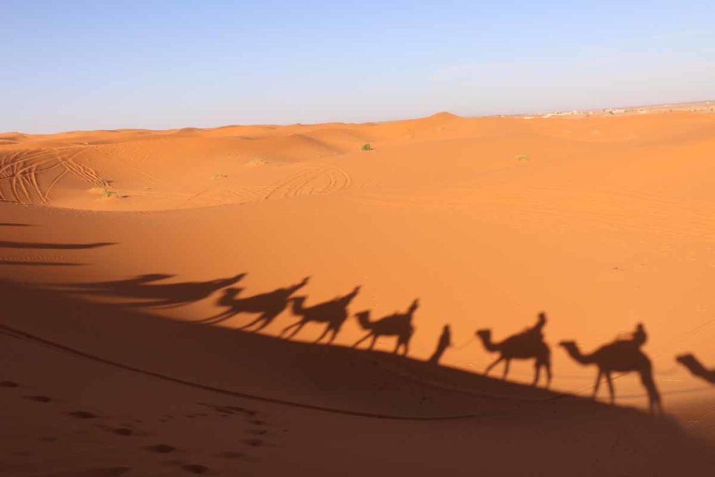 Morocco-Sahara-camel-ride