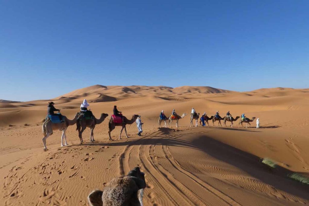 Morocco-Sahara-camel-ride