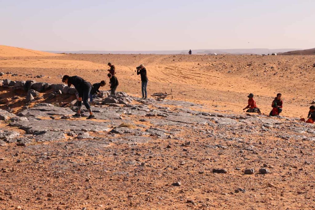 morocco-sahara-fossil-hunt