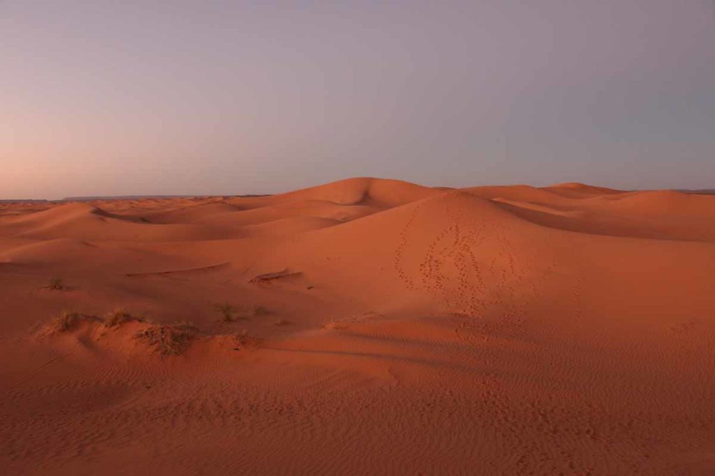 morocco-sahara-sunset-on-sand-dune