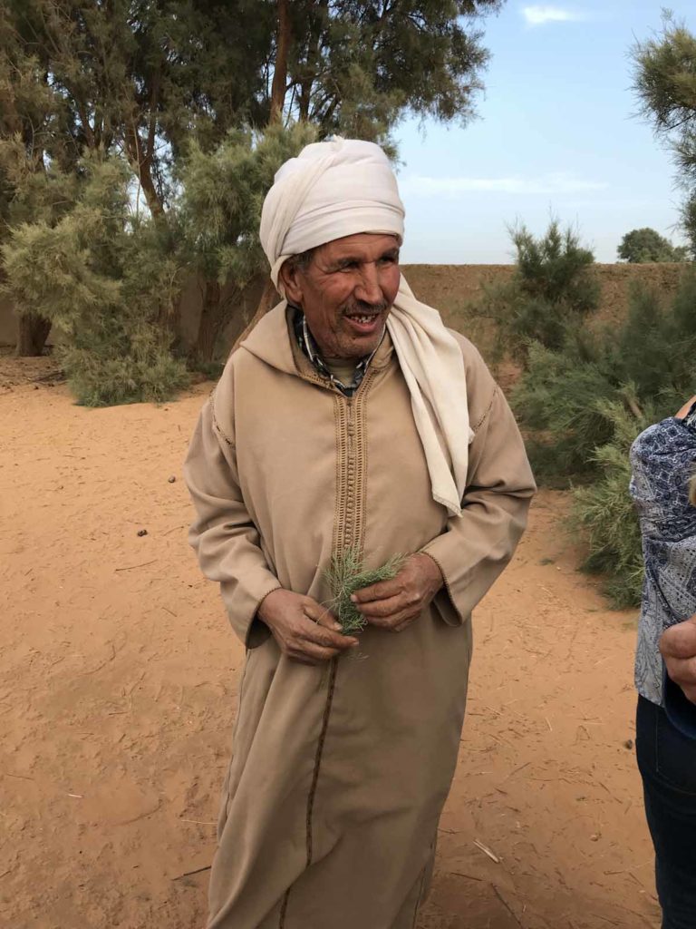 morocco-sahara-date-palm-farm-owner