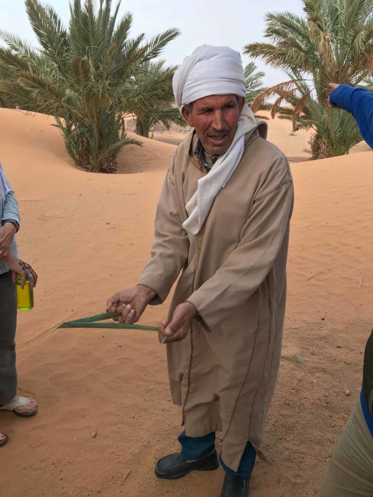 morocco-sahara-date-palm-farm-owner
