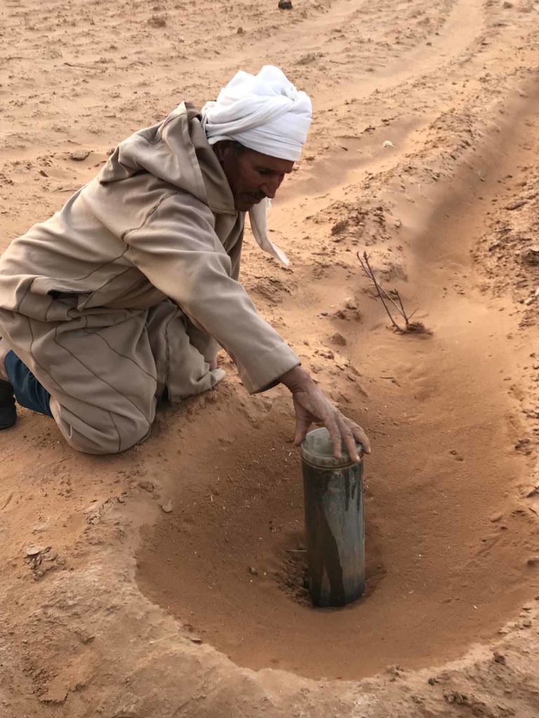 morocco-sahara-date-palm-farm-irrgation