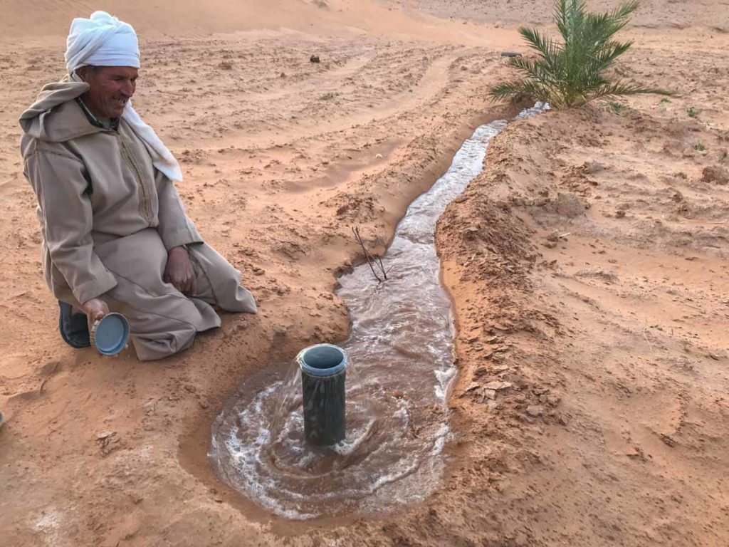 morocco-sahara-date-palm-farm-irrigation