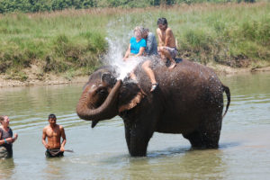 Nepal-Chitwan-elephant-bath