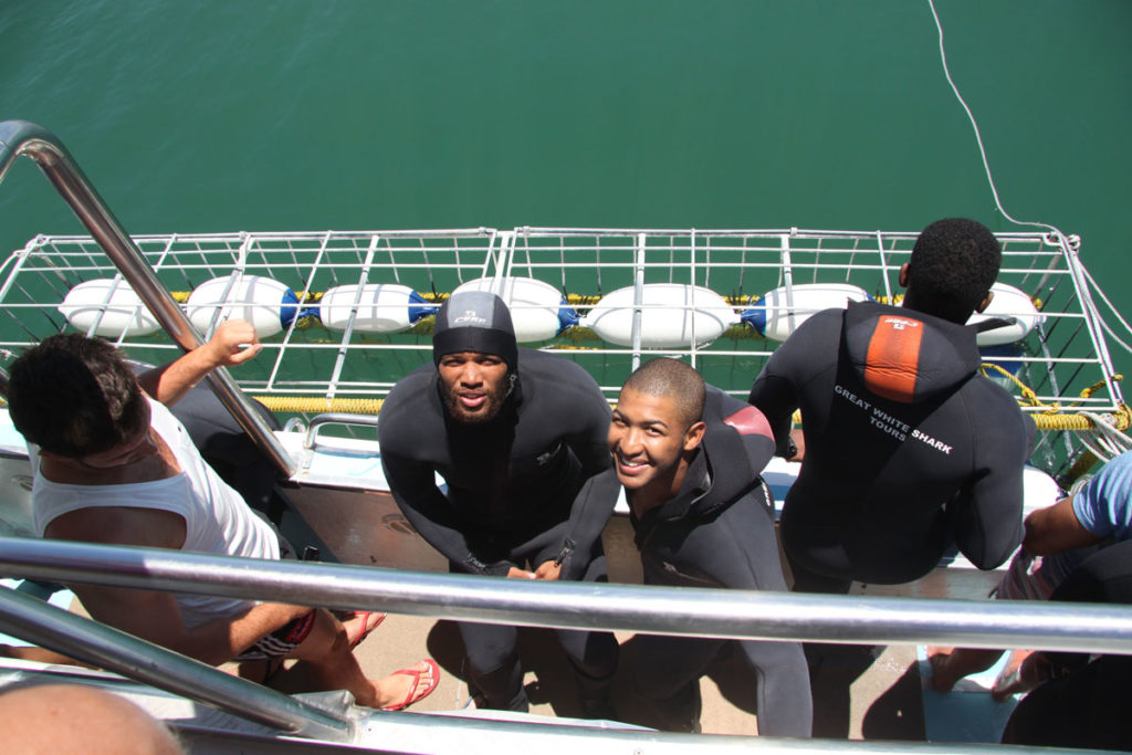 shark-cage-diving-gansbaai-south-africa