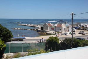 shark-cage-diving-gansbaai-south-africa