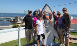 shark-cage-diving-gansbaai-south-africa