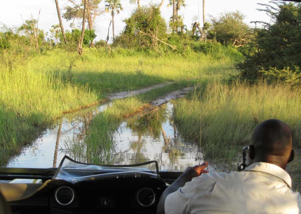 botswana-okavango-chitabe-safari-camp