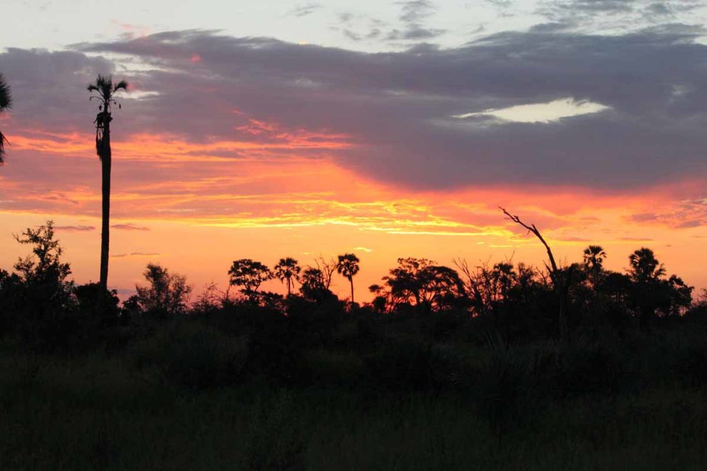 botswana-okavango-chitabe-safari-camp