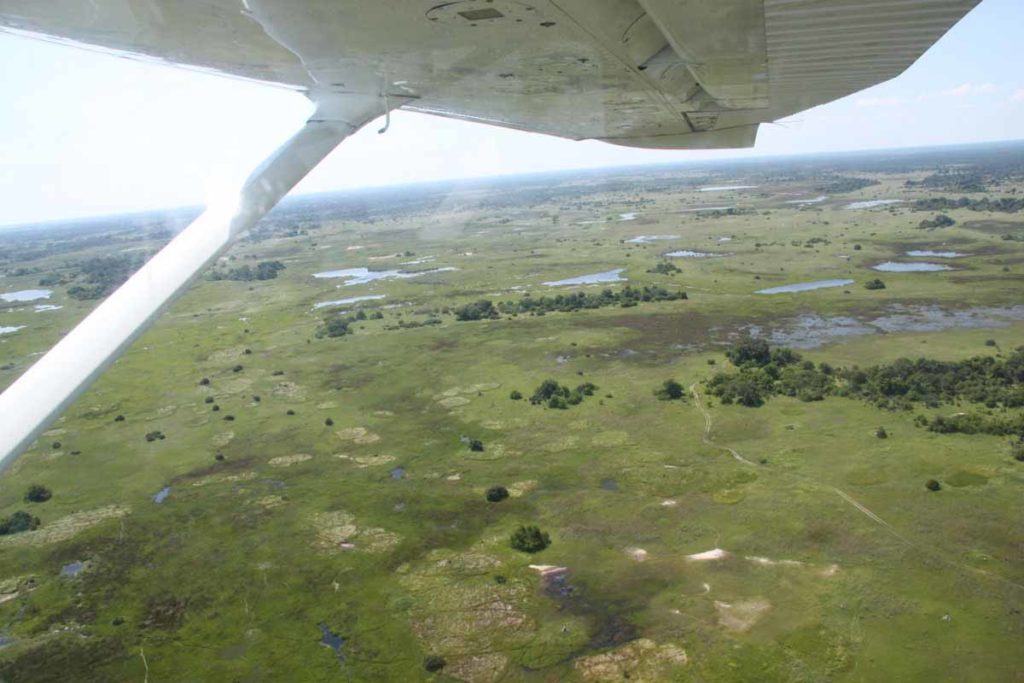 botswana-okavango-chitabe-safari-camp