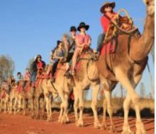 Australia-Uluru-Camel-Tours