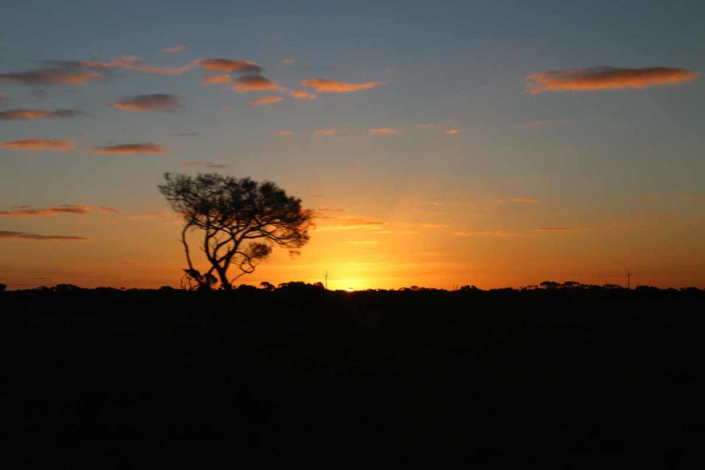 australia-the-ghan-train