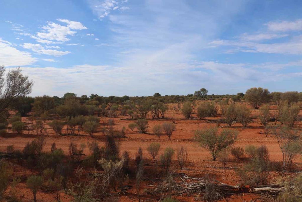 australia-the-ghan-train