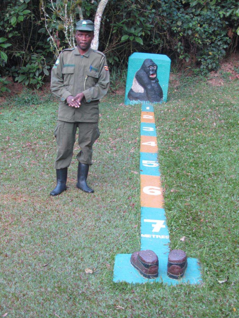 mountain-gorilla-trek-bwindi-uganda