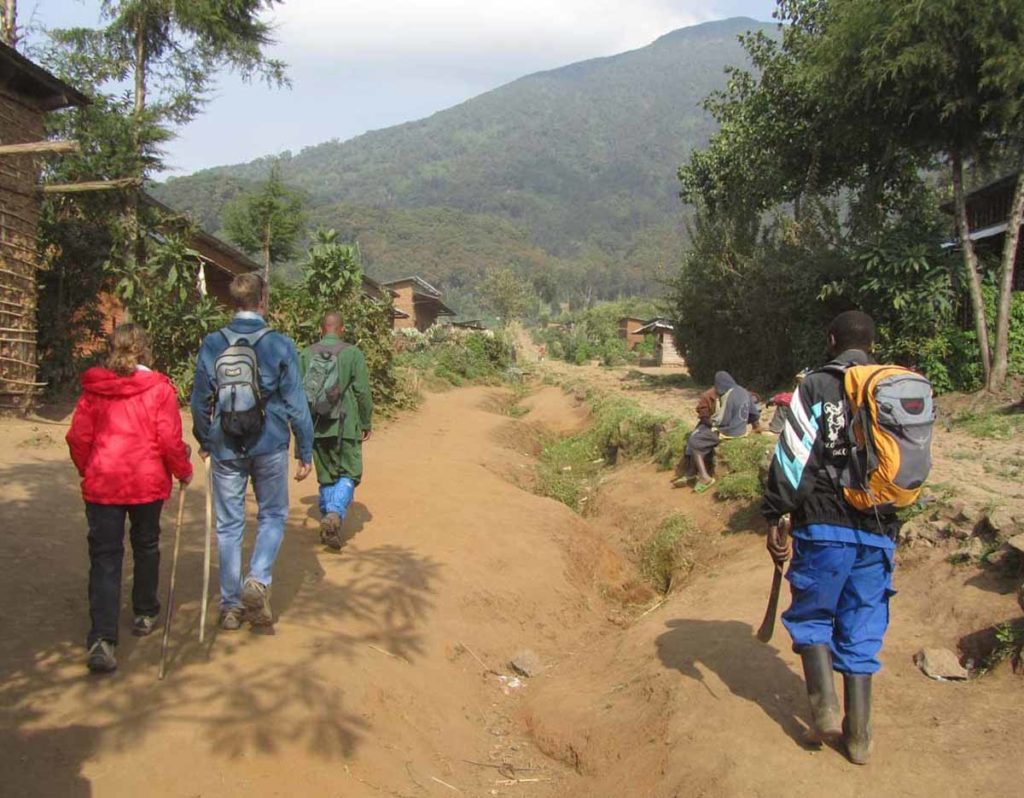 mountain-gorilla-trek-rwanda-volcanoes-park