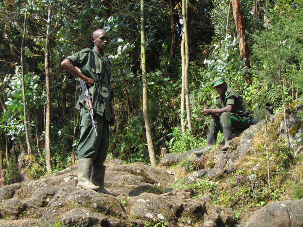 mountain-gorilla-trek-rwanda-volcanoes-park