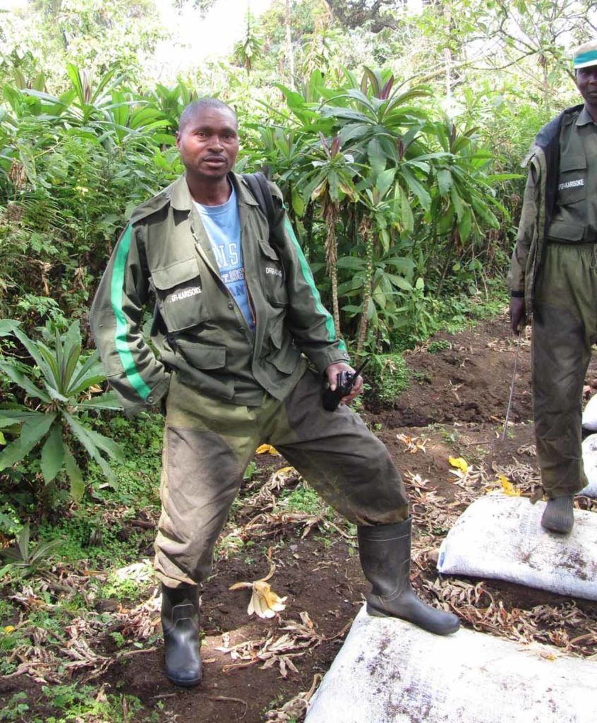 mountain-gorilla-trek-rwanda-volcanoes-park