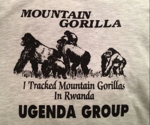 mountain-gorilla-trek-rwanda-volcanoes-park