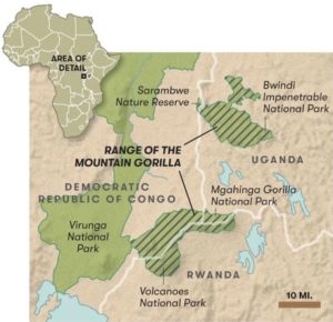 mountain-gorilla-parks-location-map