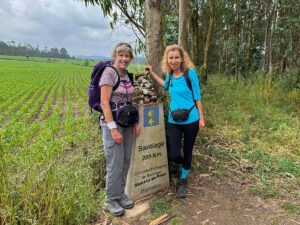 camino-de-santiago-portuguese