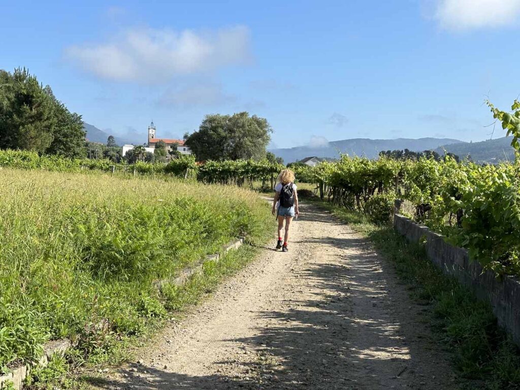 camino-de-santiago-portuguese