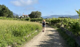 camino-de-santiago-portuguese