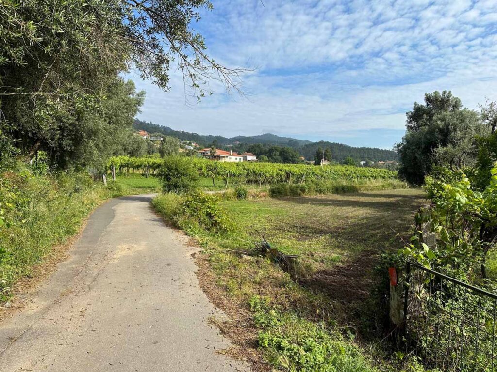 camino-de-santiago-portuguese