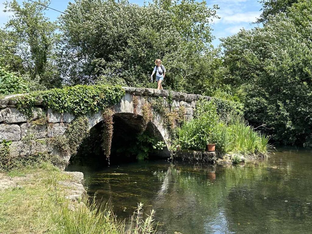 camino-de-santiago-portuguese