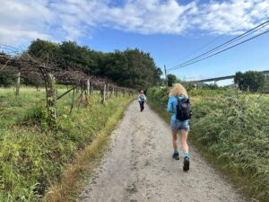 camino-de-santiago-portuguese