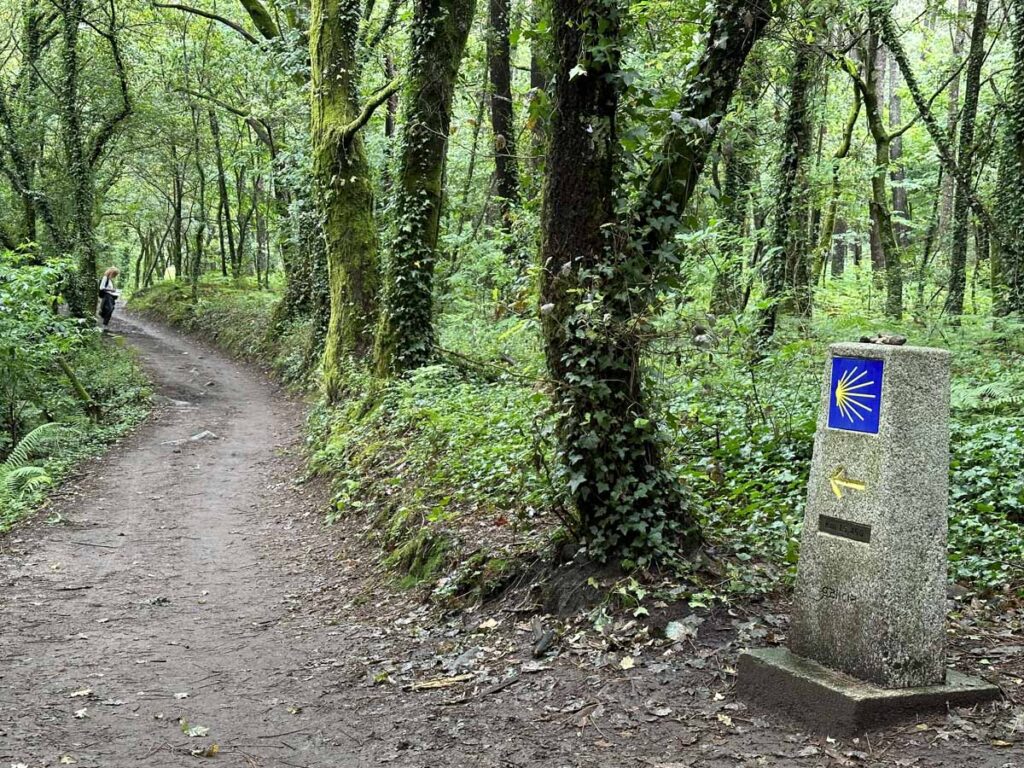 camino-de-santiago-portuguese