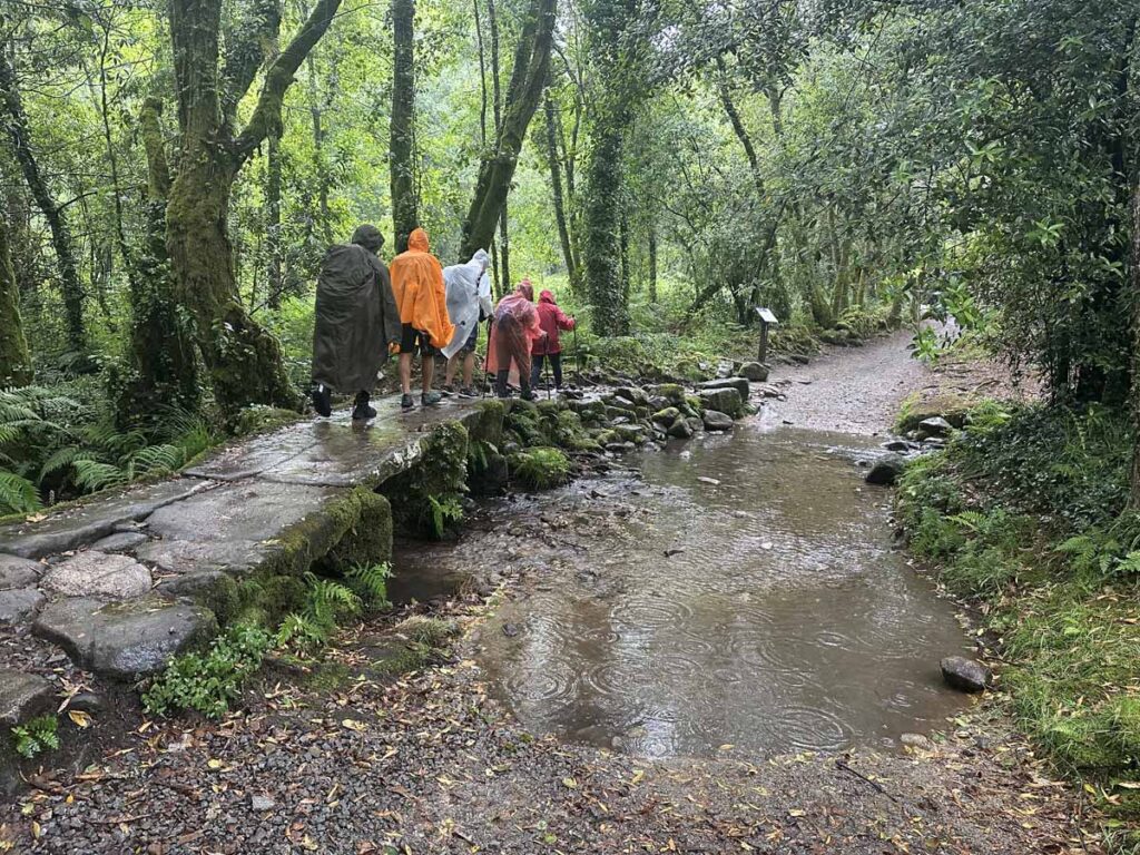 camino-de-santiago-portuguese