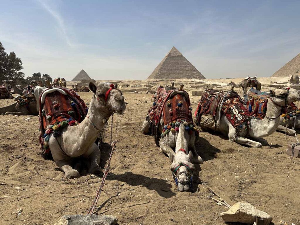 egypt-giza-pyramids-sphinx