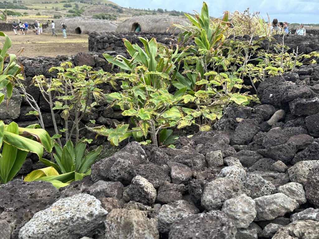 easter-island-rapa-nui